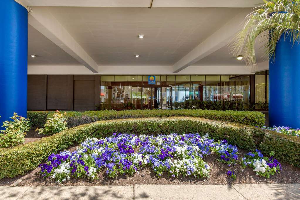 Coastal Hotel & Suites Virginia Beach - Oceanfront Екстериор снимка